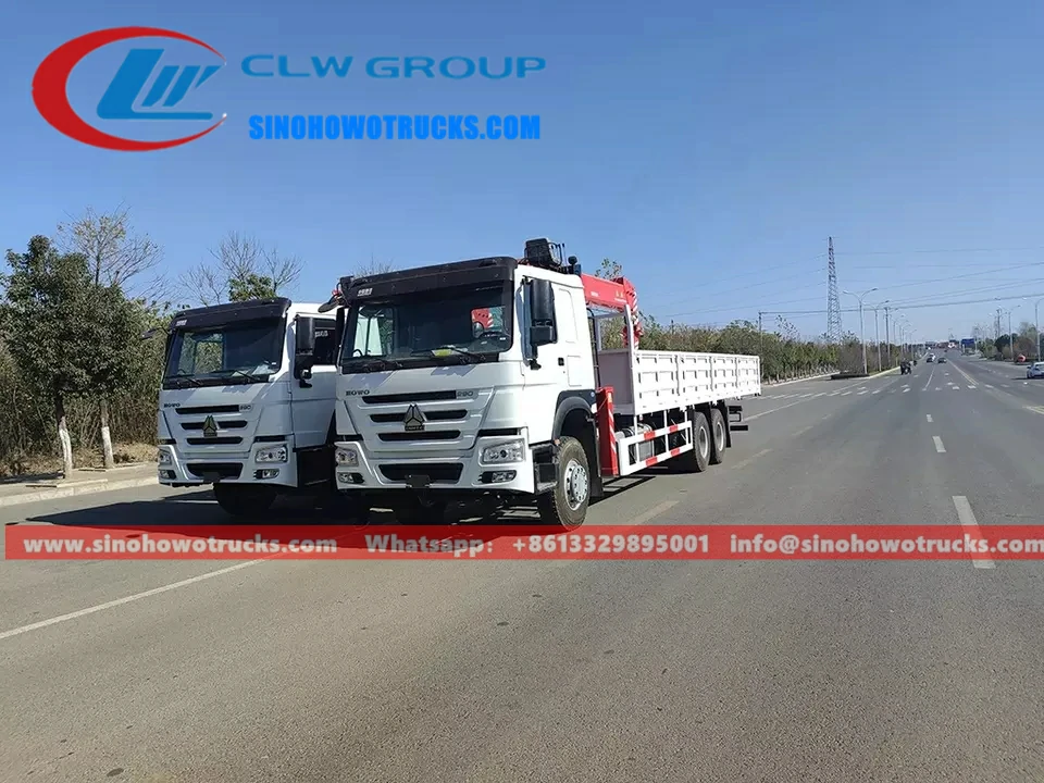 Sinotruk Howo 12t palfinger boom truck crane Djibouti